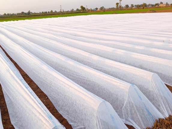 woven fabric crop cover